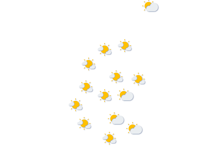 Forecast
