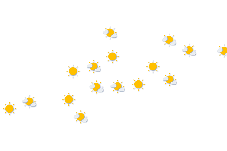 Forecast
