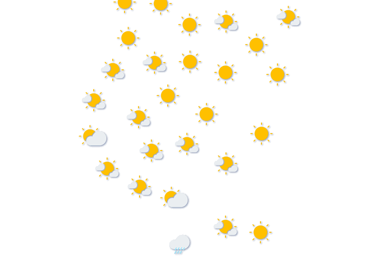 Forecast