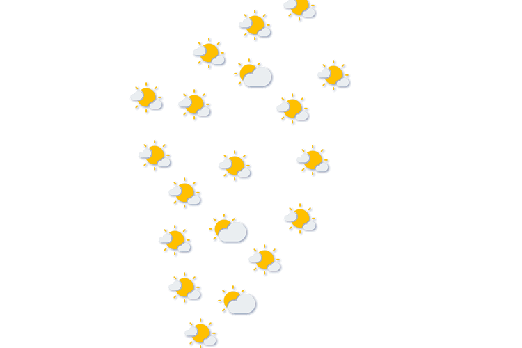 Forecast