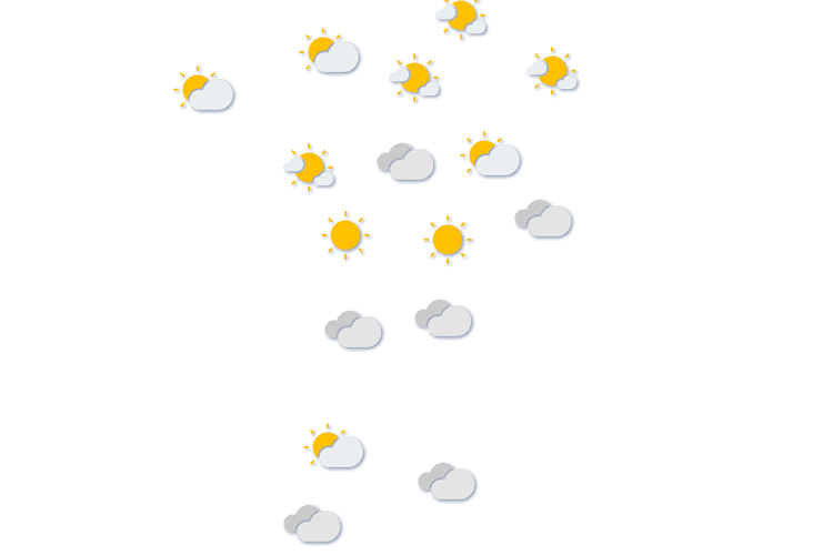 Forecast
