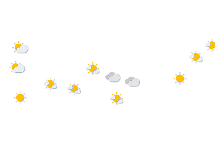 Forecast