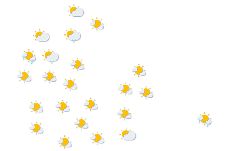 Forecast
