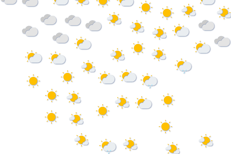 Forecast