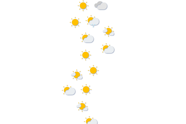 Forecast