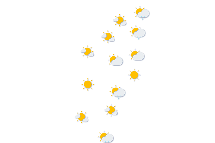 Forecast