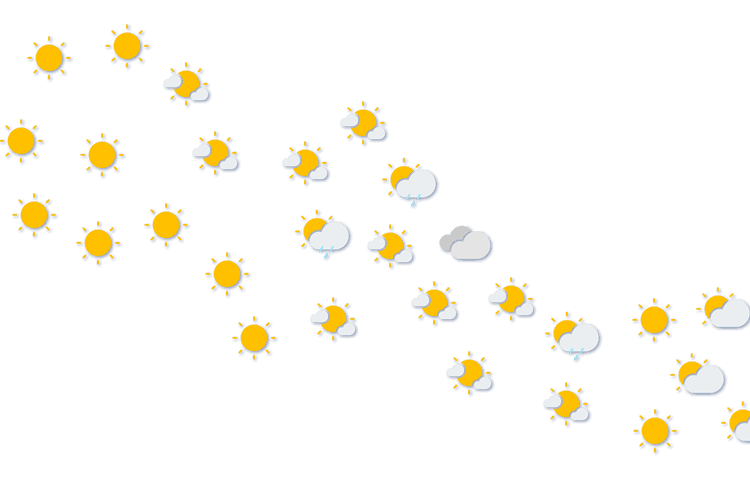 Forecast