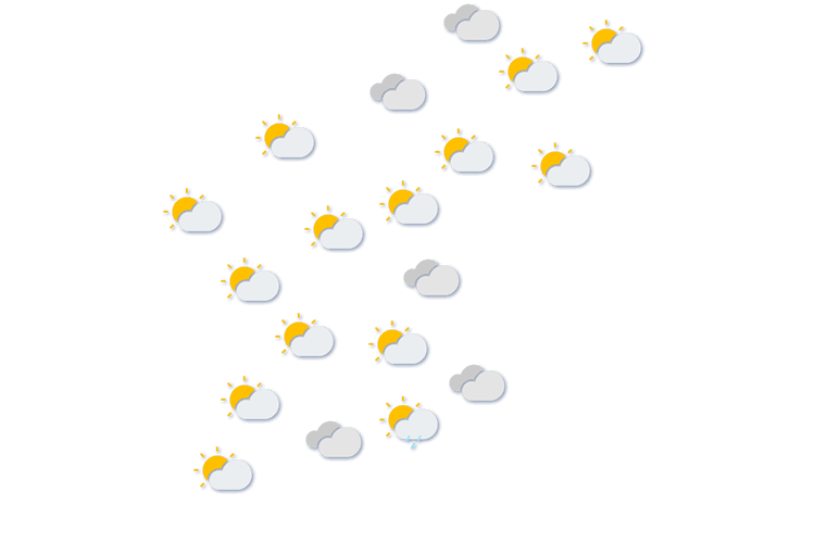 Forecast