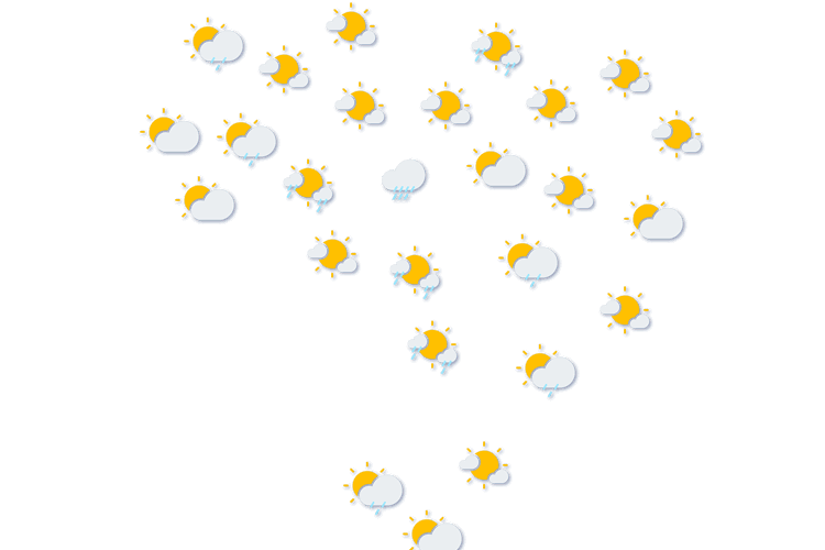 Forecast