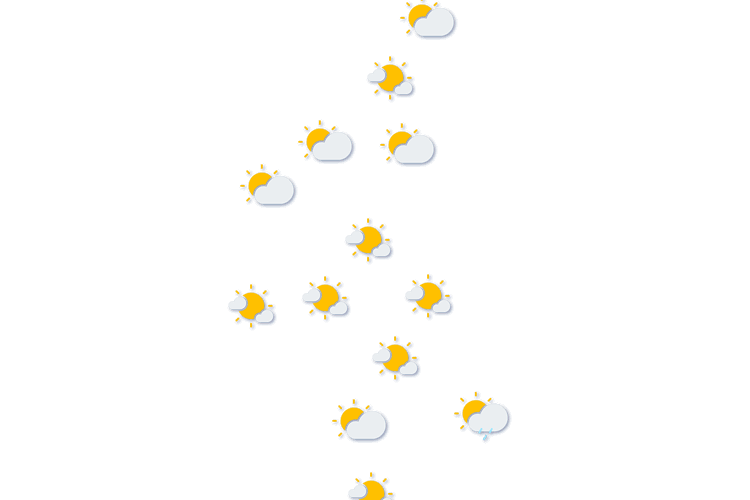 Forecast