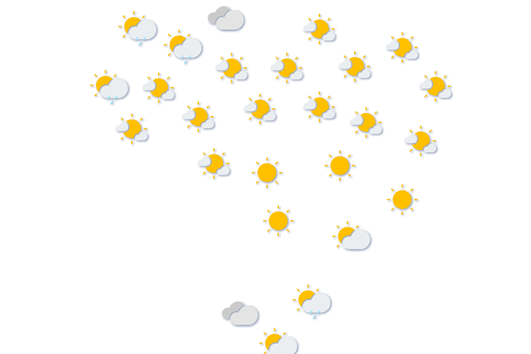 Forecast