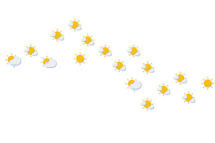 Forecast