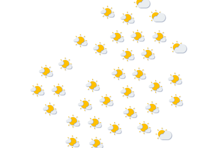 Forecast