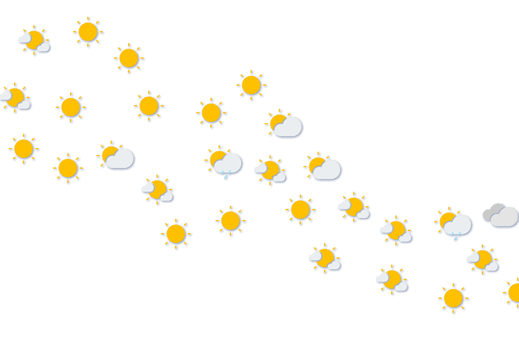 Forecast