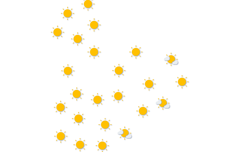 Forecast