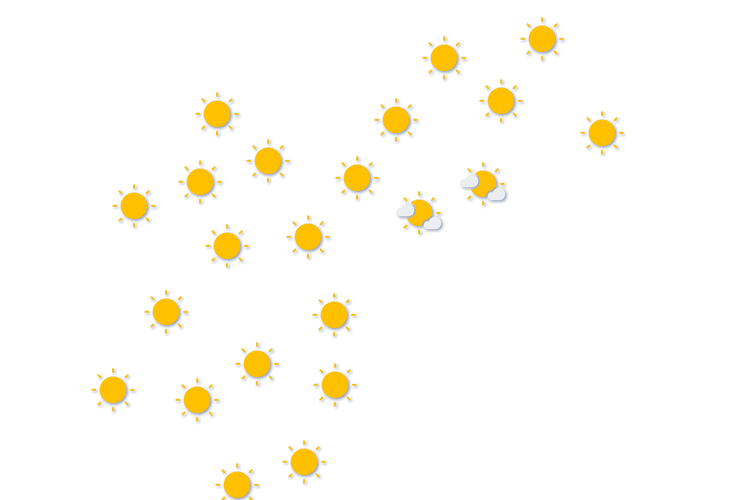 Forecast