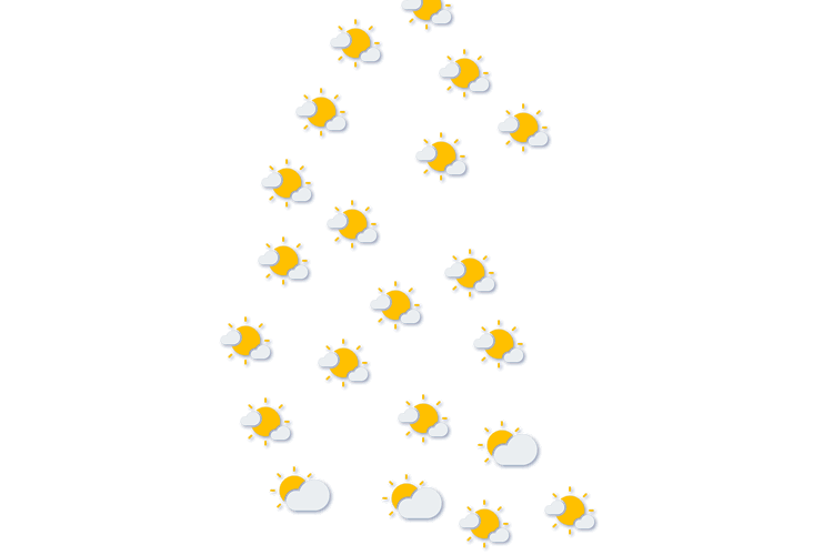 Forecast