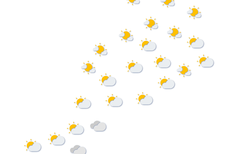 Forecast