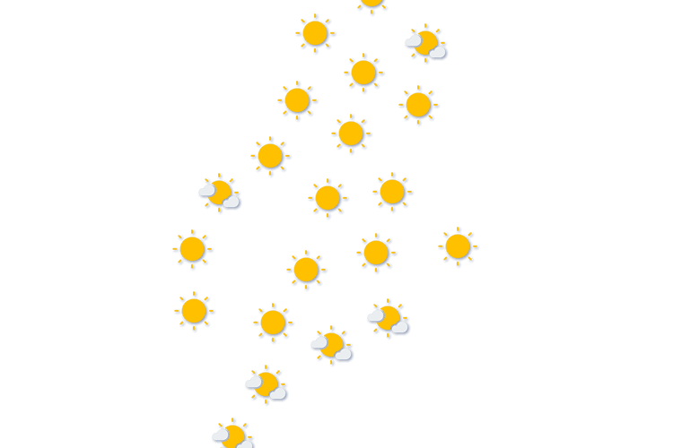 Forecast