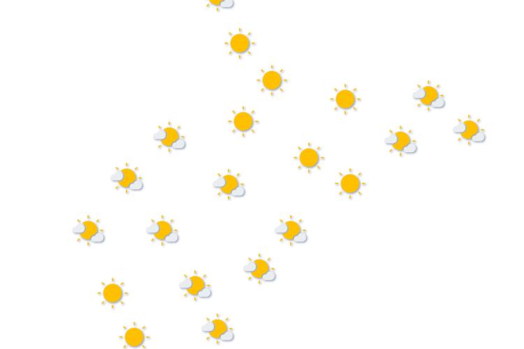 Forecast