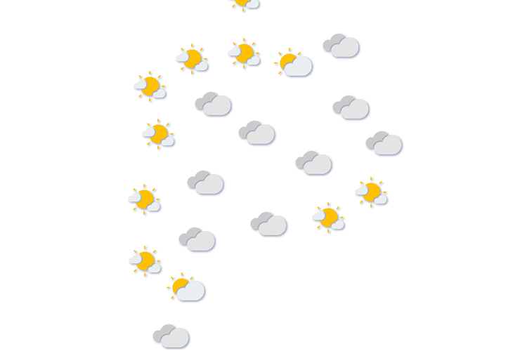 Forecast