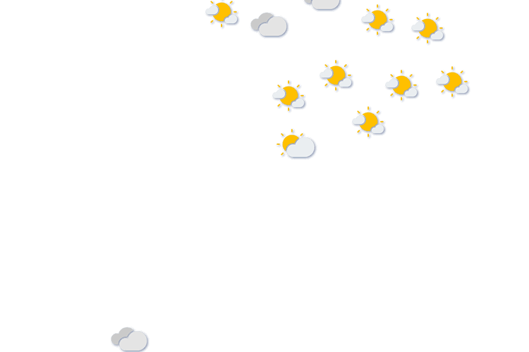 Forecast