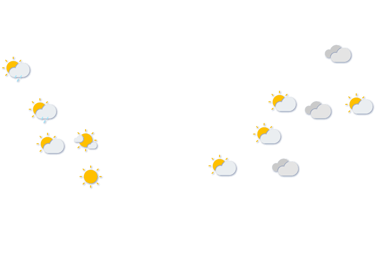 Forecast