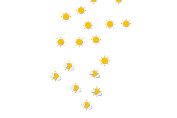 Forecast