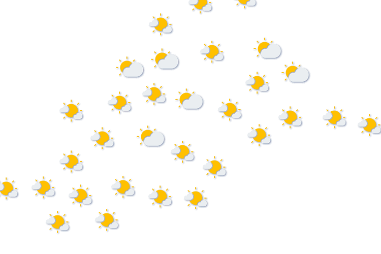 Forecast