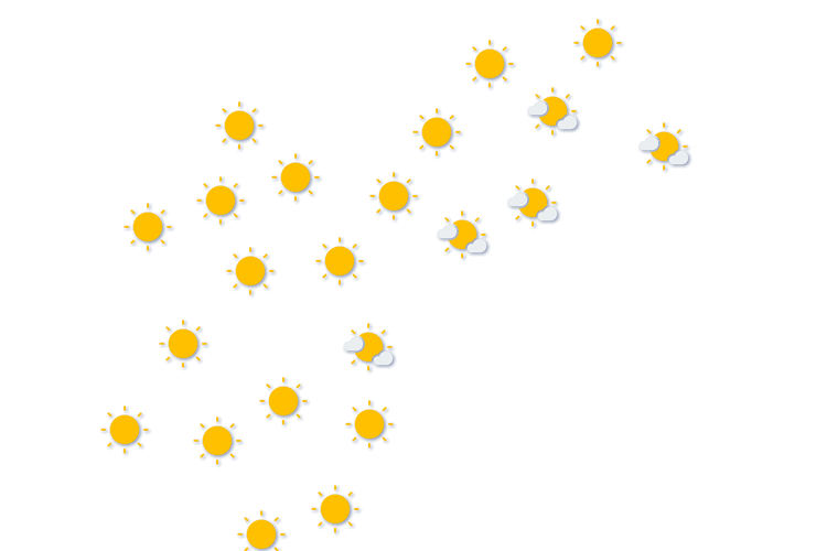 Forecast