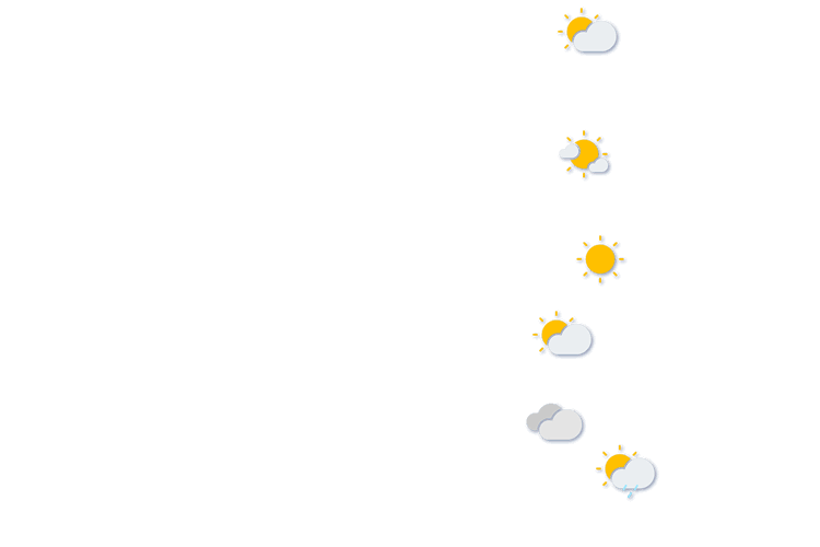 Forecast
