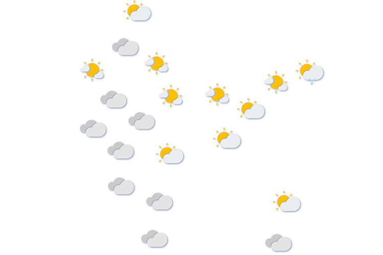 Forecast