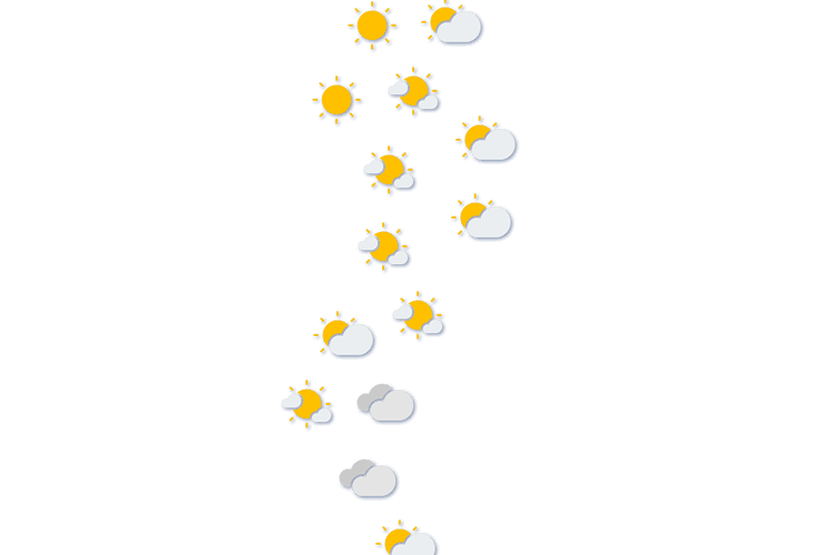 Forecast