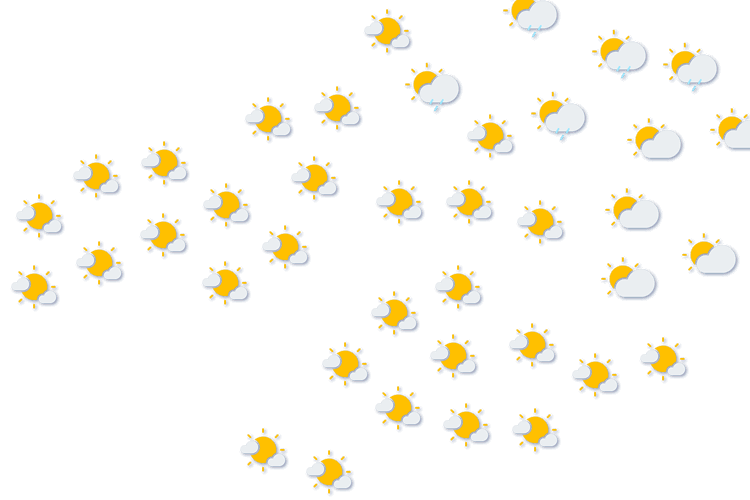Forecast