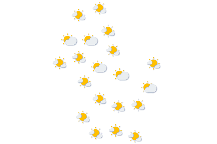 Forecast