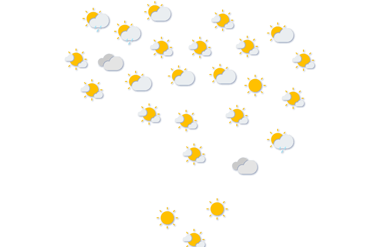 Forecast