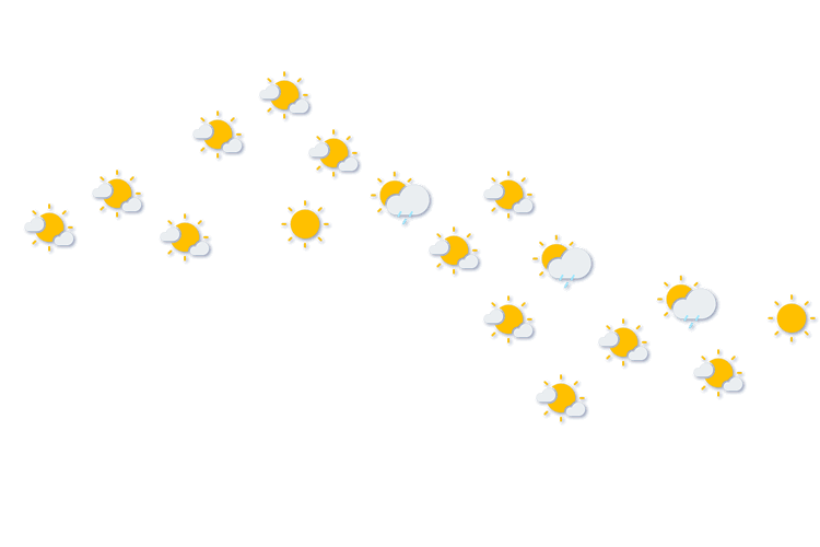 Forecast