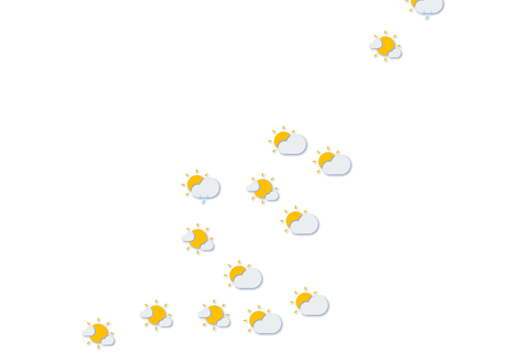 Forecast