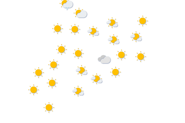 Forecast