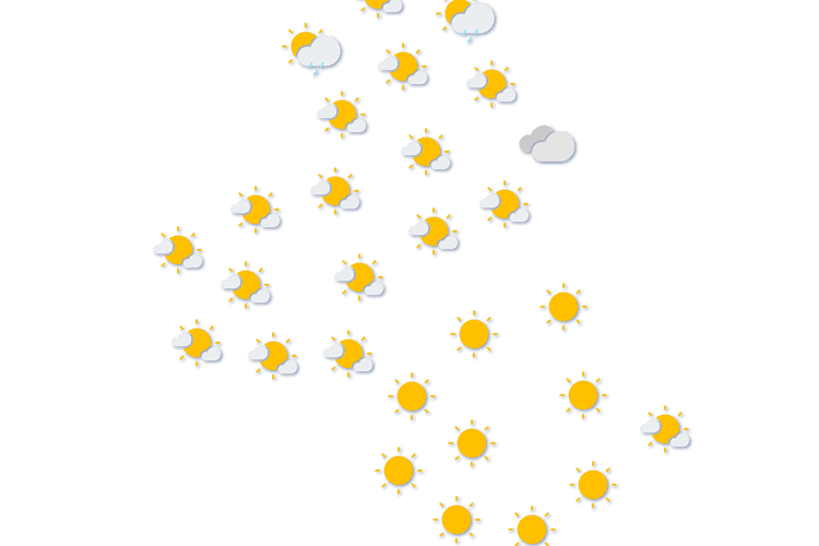 Forecast