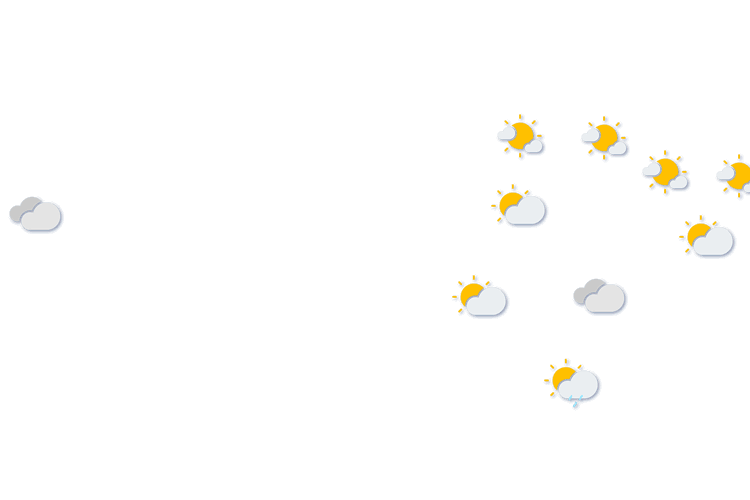 Forecast