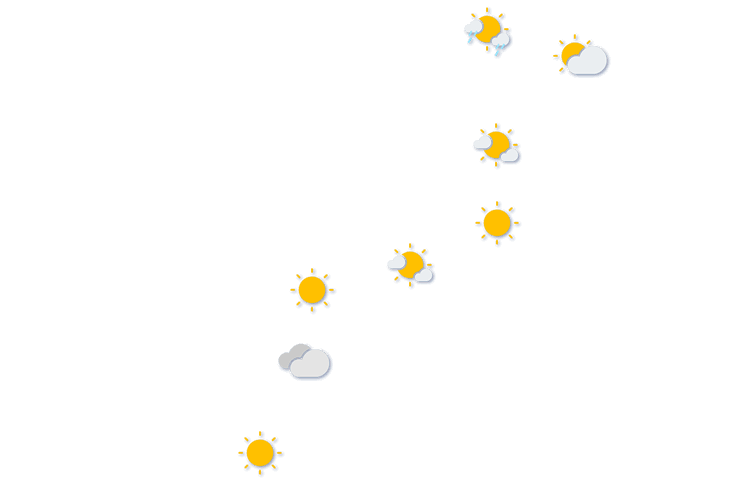 Forecast