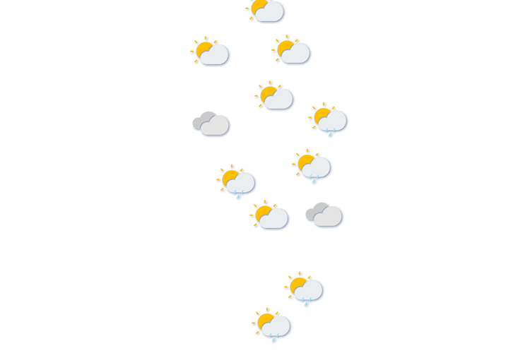 Forecast
