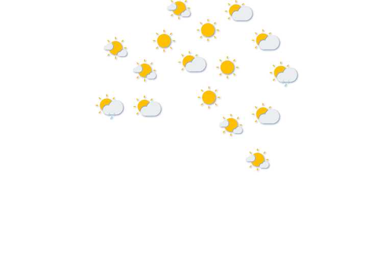 Forecast