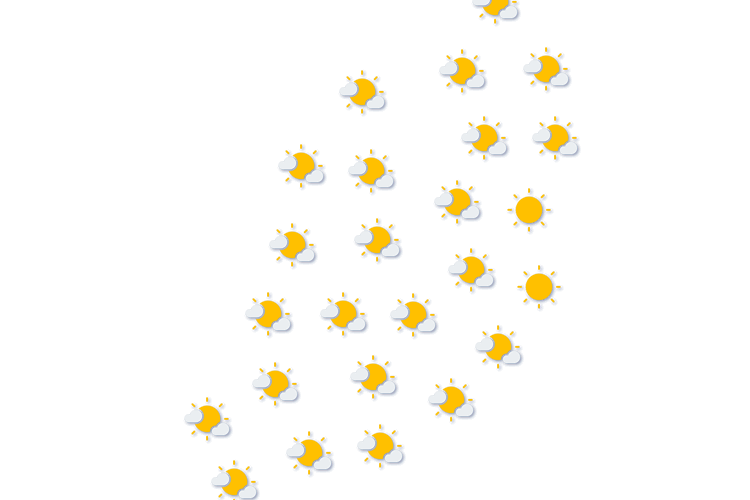 Forecast