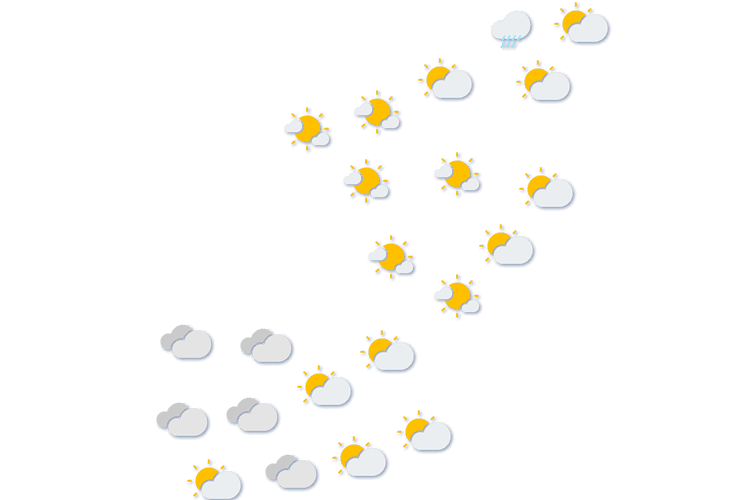 Forecast