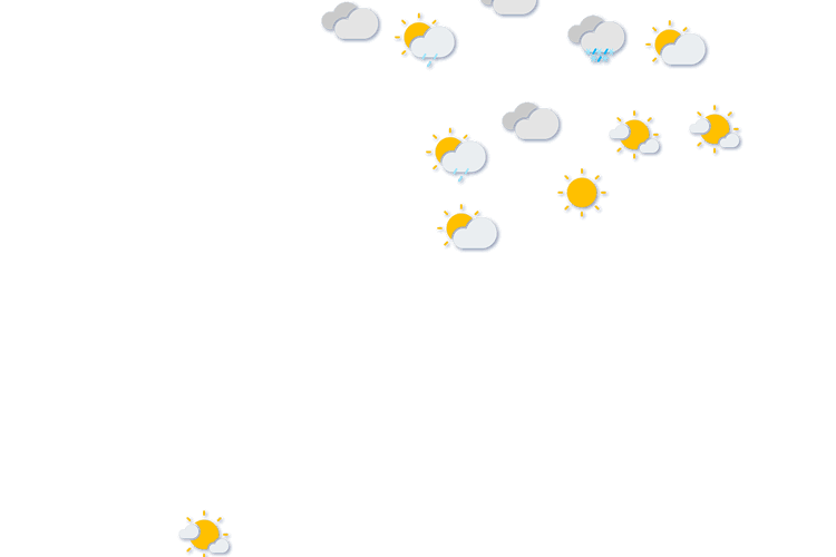 Forecast