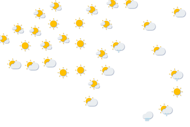Forecast
