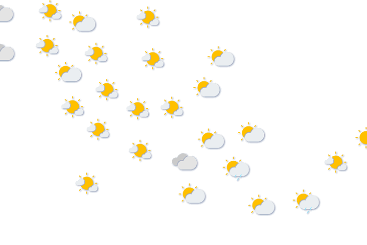 Forecast