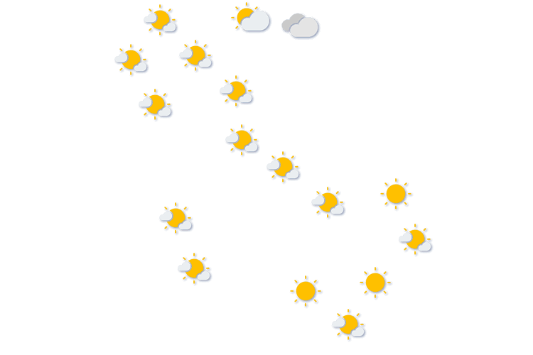 Forecast